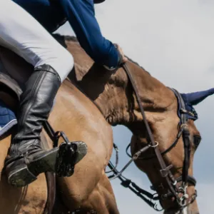 Cheval