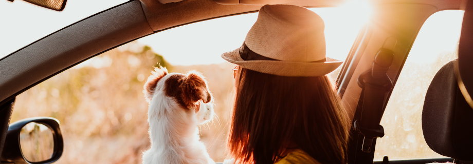 chien assis sur les genoux d'une femme qui regarde par la fenêtre d'une voiture
