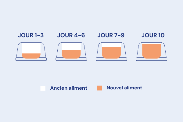 schéma de transition alimentaire