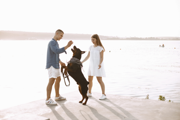 rotweiller avec ses maîtres