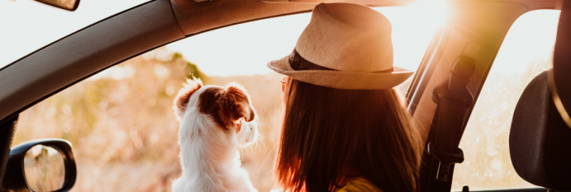 chien assis sur les genoux d'une femme qui regarde par la fenêtre d'une voiture