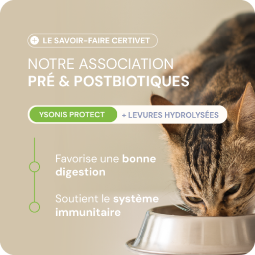 CHIEN Light et Stérilisé moyenne et grande race