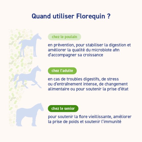 FLOREQUIN Poudre