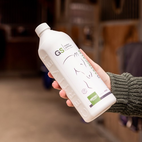 Gastricalm solution