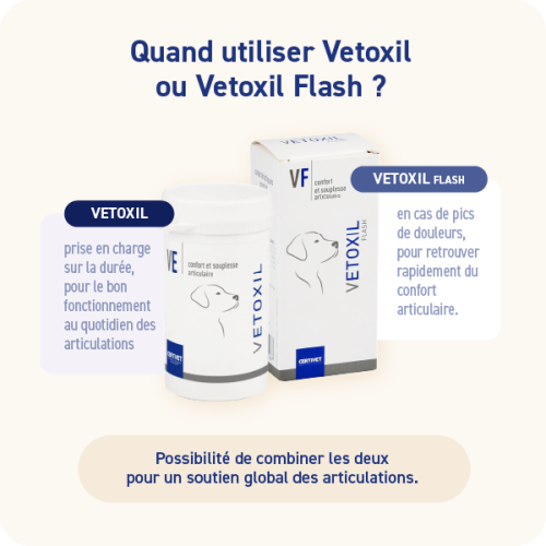 Vetoxil Flash Chien 