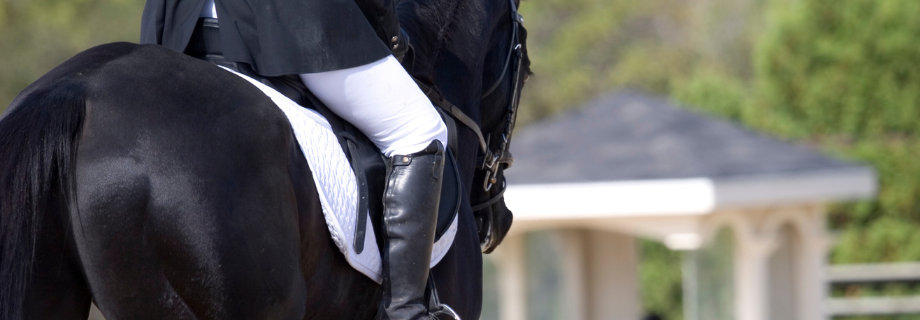 Anxiété en compétition : comment calmer un cheval stressé ?