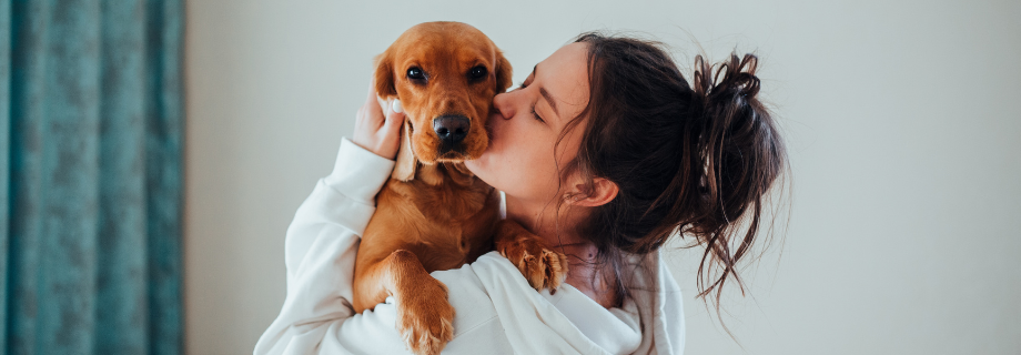 Prévenir et soulager les douleurs articulaires du chien
