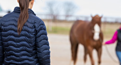 Mon cheval boite, que faire ?