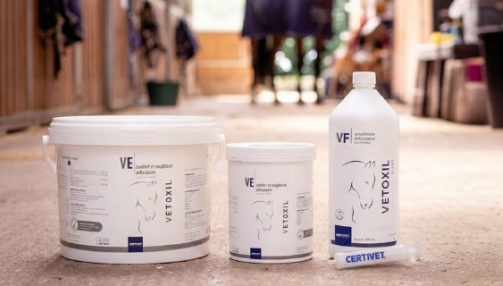 Vetoxil, Vetoxil Flash : quel produit choisir pour les articulations de mon cheval ?