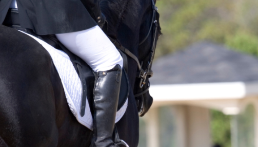Anxiété en compétition : comment calmer un cheval stressé ?