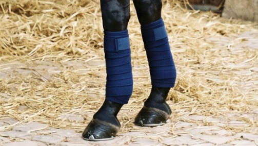 Comment poser des bandes de repos ?