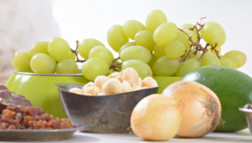 Quels sont les aliments toxiques pour les chats ?