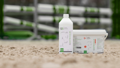 Gastricalm G+ ou Gastricalm Solution : lequel choisir pour votre cheval ?