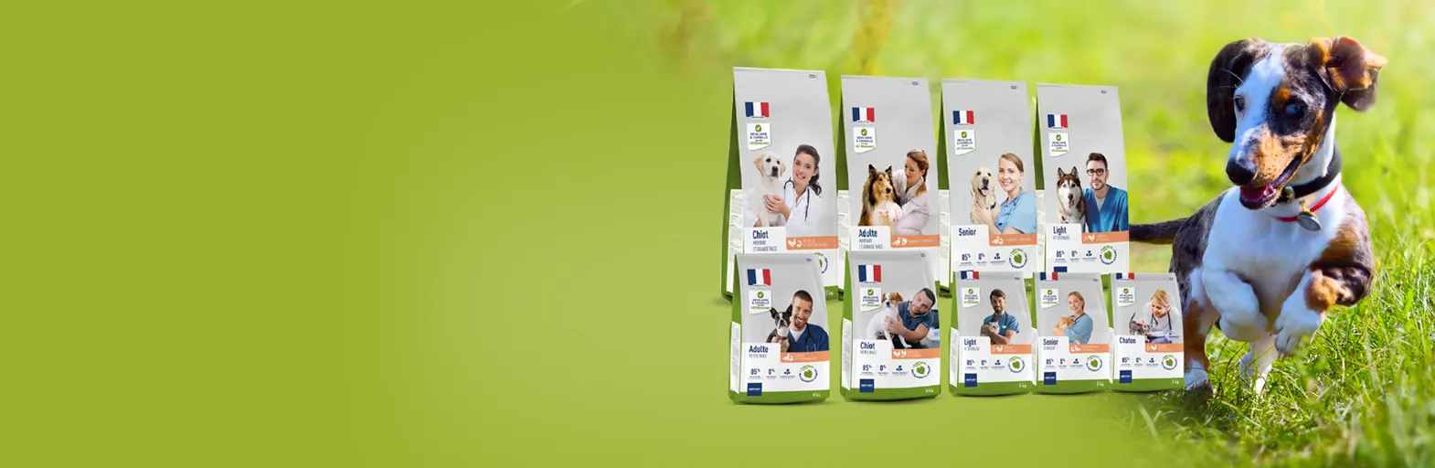 Des croquettes savoureuses pour vos fidèles compagnons !