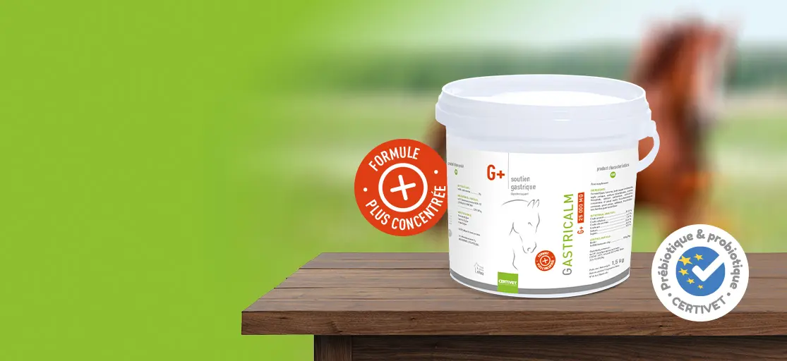 GASTRICALM 25 000 mg