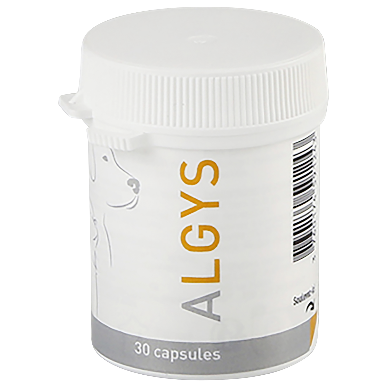 Algys Algys