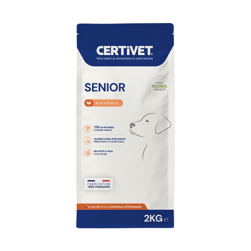 CHIEN Senior