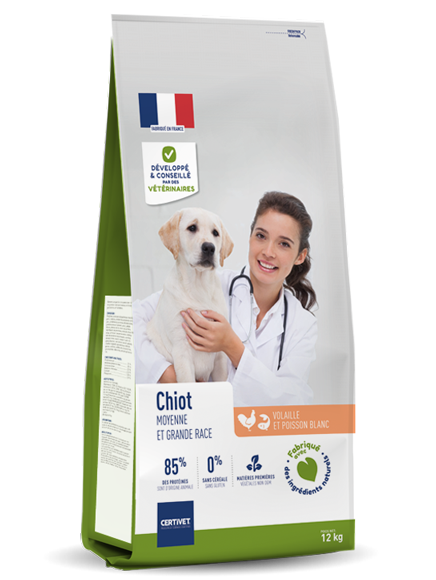 CROQUETTE - CHIOT Moyenne et grande race
