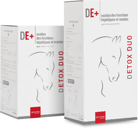 Detox duo