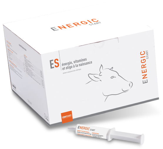 Energic Start