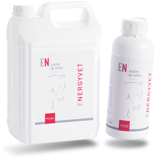 Energyvet