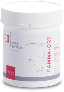 Gamma Ory