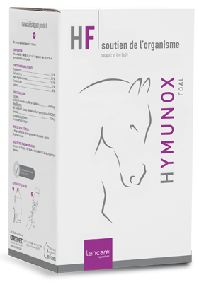 Hymunox Foal