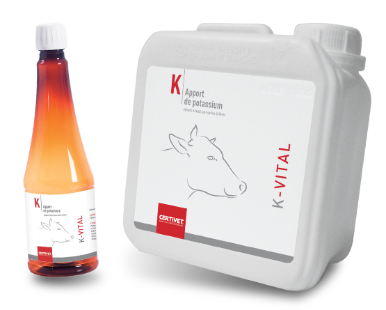 K-Vital