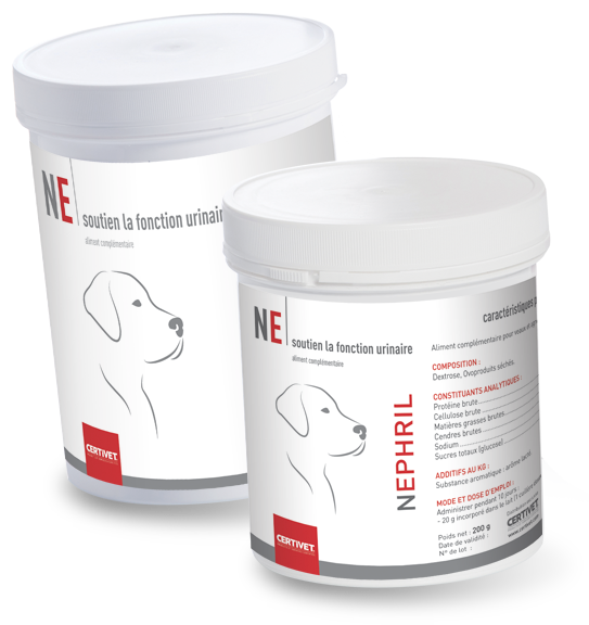 Nephril Chien