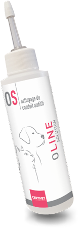 Oline Solution