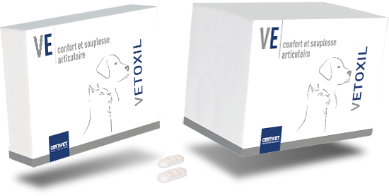 Vetoxil Comprimé Chien et Chat