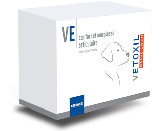 Vetoxil Comprimé Grand Chien