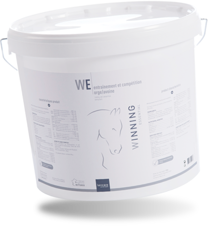 Winning Essential