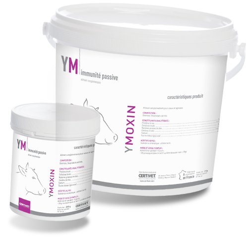 Ymoxin
